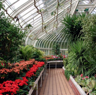 Inside the Winter Garden at Tollcross Park
Summer colour at the winter garden in Tollcross park showing the curvilinear Iron structure of this 19th century building. [url=http://www.streetmap.co.uk/streetmap.dll?G2M?X=263535&Y=663830&A=Y&Z=120/] Map location. [/url]
