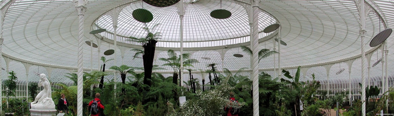 Inside the large Dome at Kibble Palace
Kibble Palace is without doubt the most spectacular of the varies glass houses in any of Glasgow's parks.  This photo was taken in 2006 just after it re-opened following a major restoration, hence the reason the plantings aren't very tall.  The area holds the national collection of Australasian tree ferns. Many of these date back to the mid 19th century and have grown in the Kibble Palace for the last 120 years.
