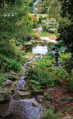 The Japanese Garden, Threave Gardens, Castle Douglas

