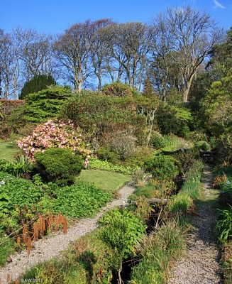 Jura House Gardens in spring
Taken in spring 2009.  At that time the garden was open to the public but since then Jura House is under new ownership so I'm not sure if the garden is still open to the public. [url=http://www.streetmap.co.uk/map.srf?X=148352&Y=663575&A=Y&Z=120/] Map location. [/url]
