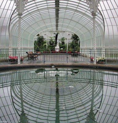 Inside Kibble Palace, Glasgow Botanic Garden
Looking down the linking corridor from the small dome to the large dome and rotunda at Kibble Palace.
