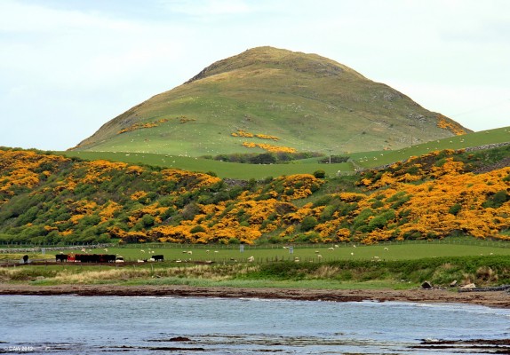 Knockdolian Hill, south Ayrshire
A view of Knockdolian hill (265m)  from Ballantrae. [url=http://www.streetmap.co.uk/map.srf?X=208128&Y=583097&A=Y&Z=120/] Map location. [/url] 
