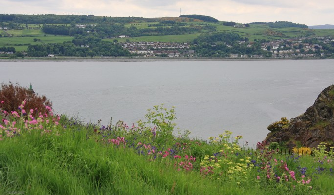 Langbank from Dumbarton Rock
Looking across the river Clyde towards the village of Landgbank from Dumbarton Rock. [url=http://www.streetmap.co.uk/map.srf?X=239986&Y=674484&A=Y&Z=115/] Map location. [/url]
