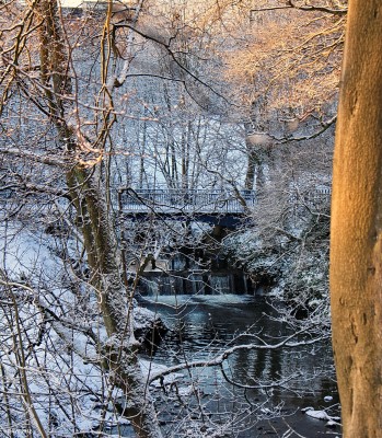 Through the trees
The weir and footbridge on Levern Water in winter.  [url=http://www.streetmap.co.uk/map.srf?X=250494&Y=659331&A=Y&Z=115/] Map location. [/url]
