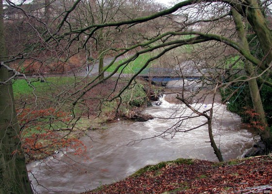 Levern water in spate, Barrhead
The Levern water after winter rain near the old Dovecothall Mill ruin.  [url=http://www.streetmap.co.uk/map.srf?X=250495&Y=659327&A=Y&Z=115/] Map location. [/url]
