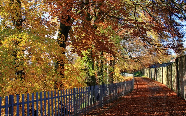 Levern walkway, Autumn, Barrhead
[url=http://www.streetmap.co.uk/map.srf?X=250532&Y=659320&A=Y&Z=115/] Map location. [/url]
