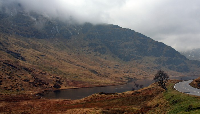 A dreich day at Loch Restil
Rich winter colours at Loch Restil.
