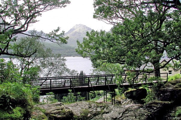 Looking over Loch Lomond from Inversnaid Hotel
Ben Vane can be seen rising to 915m on the west side of Loch Lomond.  The bridge carries the West Highland way footpath north.  This is the only means of travelling up the eastern side of Loch Lomond beyond Rowardennan.  The Inversnaid Hotel can be seen on the right, it can be reached by passenger ferry from Inveruglas or by a long single track road. [url=http://www.multimap.com/map/browse.cgi?lat=56.2421&lon=-4.6829&scale=25000&icon=x/]Map location[/url] 
