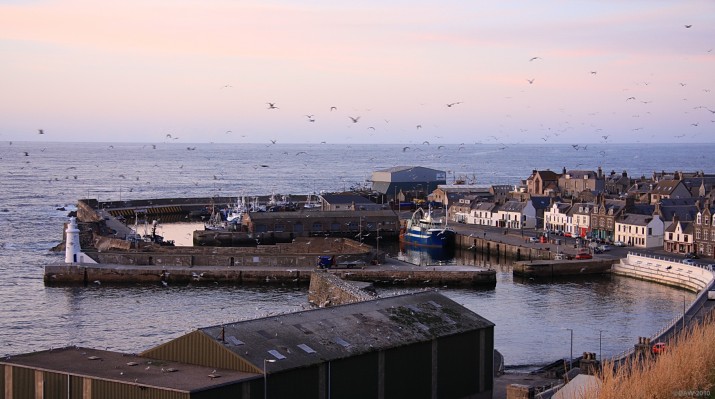 Macduff Harbour
Evening light at Macduff Harbour.  [url=http://www.streetmap.co.uk/map.srf?X=370147&Y=864400&A=Y&Z=120/] Map location. [/url]
