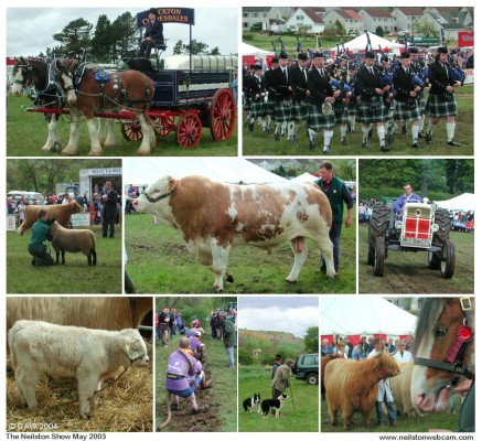 Neilston Show 2003 montage

