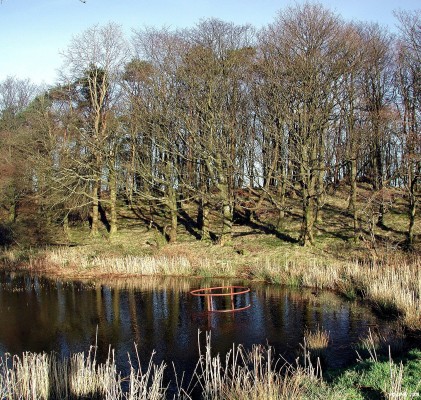 Winter trees, Neilston Pad
The pond near the Neilston pad on a sunny winter day.  [url=http://www.streetmap.co.uk/map.srf?X=247701&Y=655744&A=Y&Z=115/] Map location. [/url]
