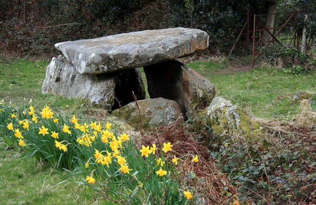 Neolithic Chambered Tomb, Largs
Located in Douglas park and thought to date from 5000 years ago.  [url=http://www.streetmap.co.uk/map.srf?X=220953&Y=658583&A=Y&Z=115/] Map location. [/url]
