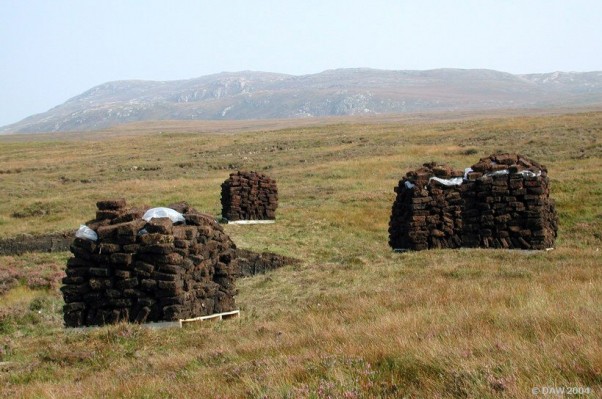 Peat Stack and a couple his friends enjoying the sun near Cape Wrath
