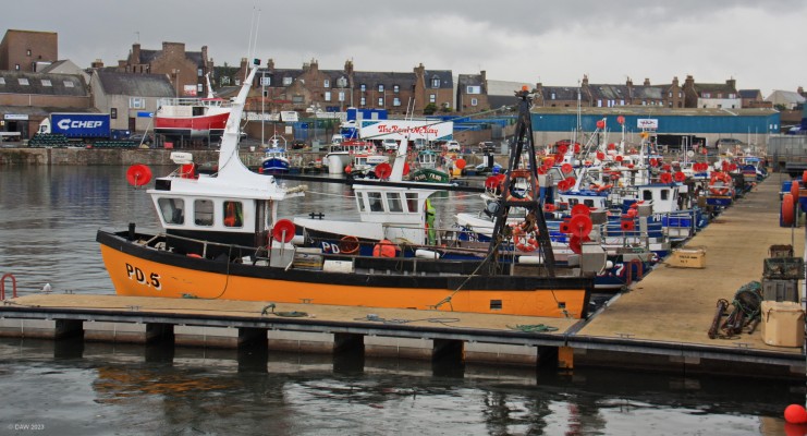 Peterhead Harbour, 2018
Peterhead harbour on a rainy summer day. [url=http://www.streetmap.co.uk/map?X=413660&Y=845833&A=Y&Z=115&ax=413758&ay=845853/] Map location. [/url]
