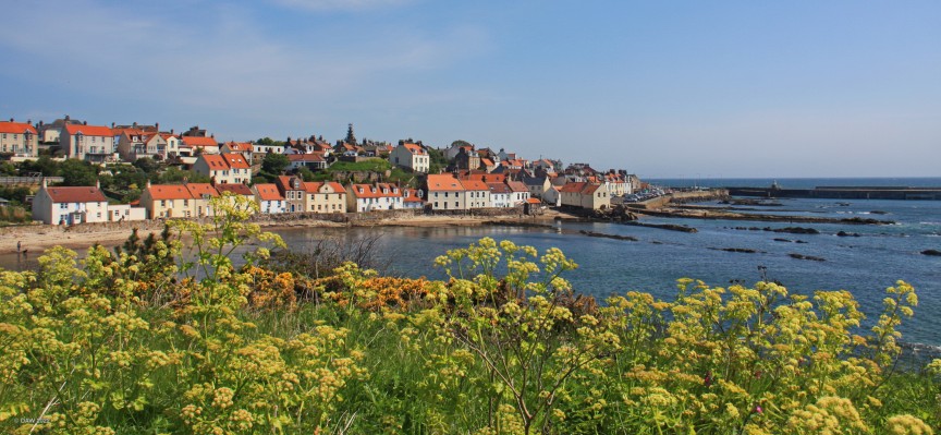 Pittenweem
A view of Pittenweem on the Fife coast from the Fife coastal footpath.  [url=http://streetmap.co.uk/map?X=354429&Y=702305&A=Y&Z=115/] Map location. [/url]
