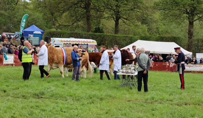 Prize giving, 2022
The volunteers who organise the Neilston show were awarded The Queens Award for Voluntary Service.  The Gentleman in the impressive uniform on the right was there to present the award.  He is Colonel Peter McCarthy, Lord Lieutenant of Renfrewshire, who'd have believed there is such a person in the 21st centiury.

