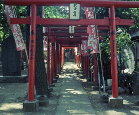 Red Torii Gates, Inari Shrine, Ikebukuro, Tokyo, 1985
