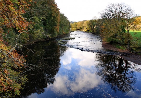 The River Ayr at Stair
An autumnal view of the River Ayr from the old bridge at Stair.  [url=http://www.streetmap.co.uk/map.srf?X=243775&Y=623465&A=Y&Z=120/] Map location. [/url]
