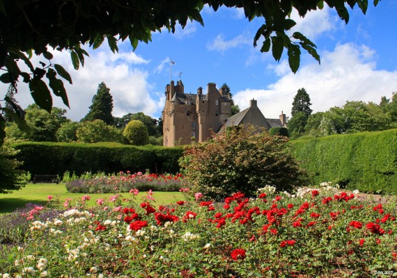 The Rose Garden, Crathes Castle, 2018
