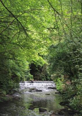 Roukenglen Park, East Renfrewshire
[url=http://streetmap.co.uk/map?X=254900&Y=658214&A=Y&Z=115/] Map location. [/url]

