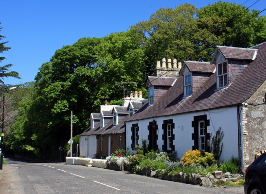 Cottages in Colmonell, South Ayrshire
A view along Rowantree Street, Colmonell.  [url=http://streetmap.co.uk/map.srf?X=214517&Y=585844&A=Y&Z=115/] Map location. [/url]

