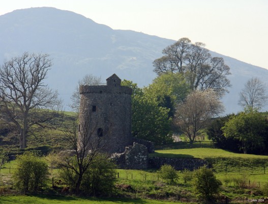 Orchardton Tower
The ruins of Orchardton Tower.  Probably built around 1456 by John Cairns, a retired Linlithgow customs officer.  It was later bought by the Maxwells who lived in it until 1785.  [url=http://www.streetmap.co.uk/map?X=281836&Y=554944&A=Y&Z=115&ax=281749&ay=555162/] Map location [/url]

