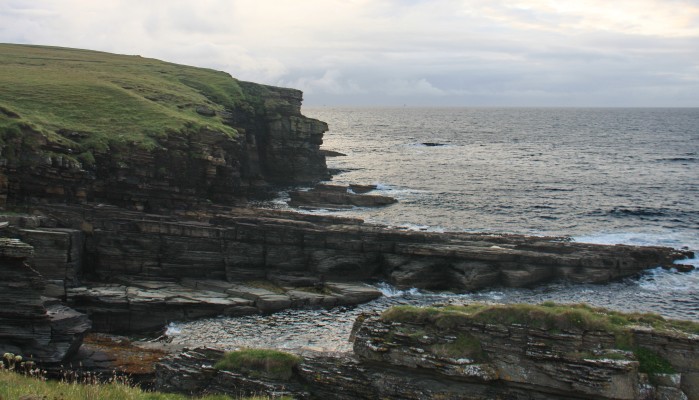 The cliffs of Sandside Head, Caithness
[url=http://streetmap.co.uk/map?X=295499&Y=966402&A=Y&Z=115/] Map location. [/url]
