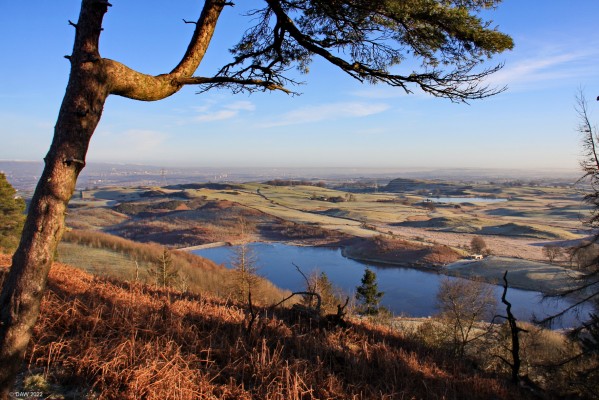 Snypes Dam, East Renfrewshire
North East over Snypes Dam from the Neilston Pad on a winter morning. Duncarnock Hill (the Craigie) can be seen just left of centre. [url=http://streetmap.co.uk/map?X=247675&Y=655224&A=Y&Z=120/] Map location. [/url]
