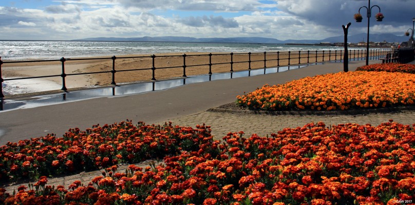 South Beach, Saltcoats
Looking North West from the South Beach.  To be honest I'm never sure where Saltcoats ends and Ardrossan begins since they are merged so closely now so apologies if I've offended anyone in Ardrossan.  [url=http://streetmap.co.uk/map.srf?X=224098&Y=641730&A=Y&Z=115/] Map location. [/url]

