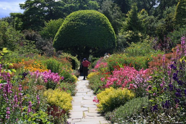 Summer colour at Crathes Castle, Aberdeenshire
[url=http://streetmap.co.uk/map?X=373457&Y=796690&A=Y&Z=115/] Map location. [/url]
