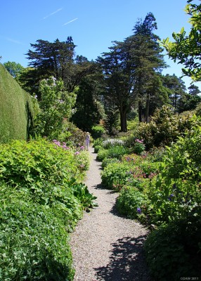 Summer borders, Arduaine Gardens
[url=http://www.streetmap.co.uk/map.srf?X=179417&Y=710402&A=Y&Z=120/] Map location. [/url]
