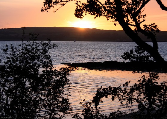 Sunset at Bowan Craigs, Largs
The setting sun disappears behind the Great Cumbrae as seen from above the Bowan Craigs.  [url=http://www.streetmap.co.uk/map.srf?X=220753&Y=657963&A=Y&Z=115/] Map location. [/url]
