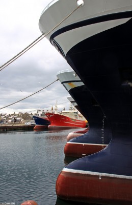 Taking a bow, Fraserburgh Harbour
