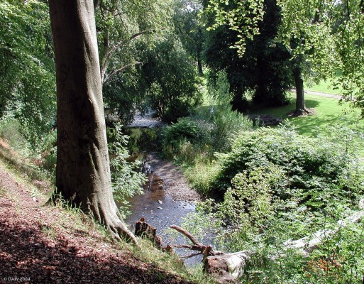 The Levern Burn, Barrhead
The Levern burn pictured from the Levern Walkway near Carlibar.
