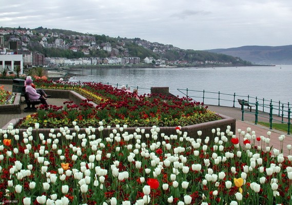 West Bay, Gourock
A spring time view of West Bay in Gourock taken from the area behind the outdoor swimming pool.  [url=http://www.streetmap.co.uk/streetmap.dll?G2M?X=223790&Y=677610&A=Y&Z=3/]Map location[/url]
