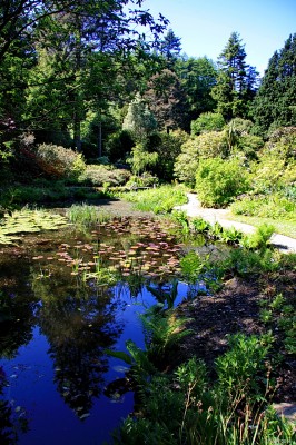 The Pond, Arduaine Gardens
[url=http://www.streetmap.co.uk/map.srf?X=179447&Y=710422&A=Y&Z=120/] Map location. [/url]
