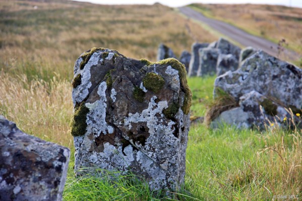 The Standing Stones of Achavanich
Dating from 4,000 years ago the Stones are arranged in a horseshoe shape.  These stones are thought to be unique in the north of Scotland, normally the broad face of the stone faces into the centre of the circle but as you can see from the photo the narrow edge is pointing towards the centre.  [url=http://streetmap.co.uk/map.srf?X=318805&Y=941780&A=Y&Z=120/] Map location. [/url]
