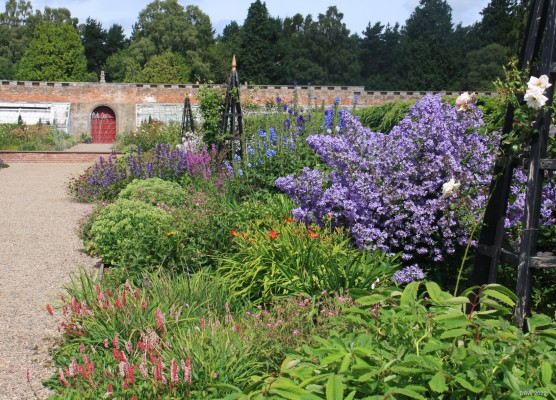 The walled garden, Glamis Castle
