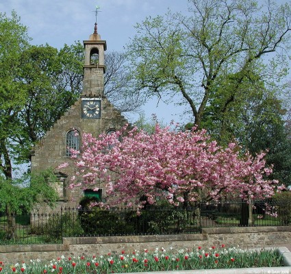The old Parochial Church, Beith
Thought to have been built around the time of the reformation it stands on the site of a much older Chapel.  It was partly demolished in 1810 when a new church was built and all that remains is the front gable and belfry.  Today it is an attractive feature of the improvements made to Beith town centre in recent years.
