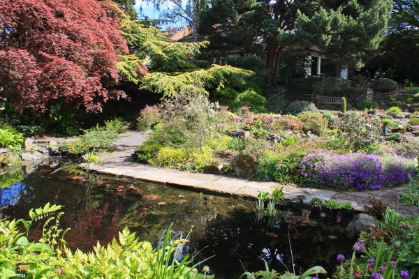 The Pond, Branklyn Garden, Perth
