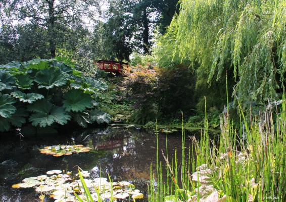 The Pond, Threave Garden, Castle Douglas
