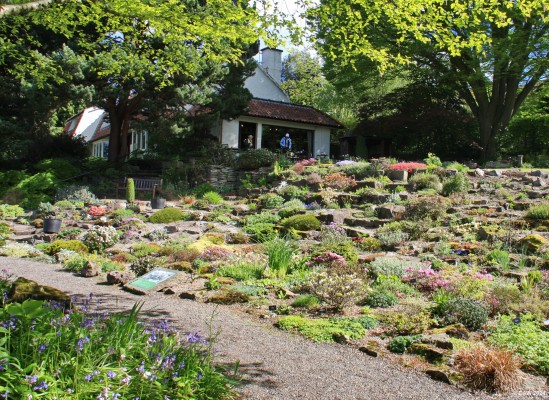 The Rockery, Branklyn Garden, Perth
