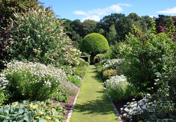 The White Border, Crathes Castle Garden
