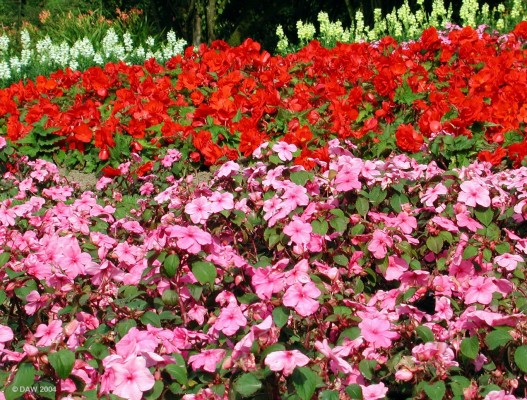 Threave Gardens, Castle Douglas
