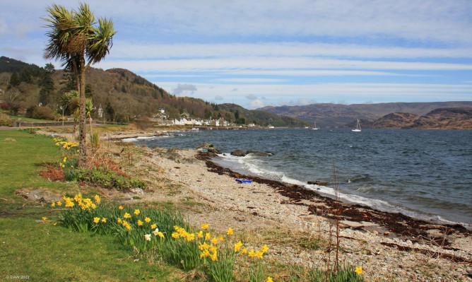 Tighnabruaich, Argyll & Bute
A spring time view along the shore at the small village of Tighnabruaich. [url=http://www.streetmap.co.uk/map?X=197302&Y=671876&A=Y&Z=115&ax=197427&ay=671736/] Map location. [/url]
