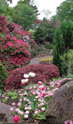 Victoria Park
The quarry area of Victoria Park in spring time.
