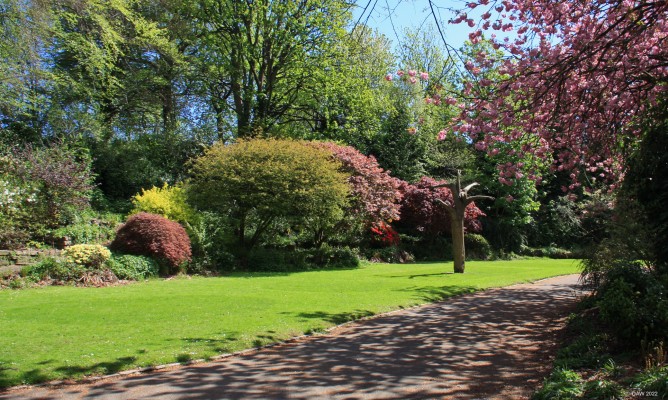 Victoria Park, Glasgow, 2018
The Quarry area of Victoria Park, Glasgow.
