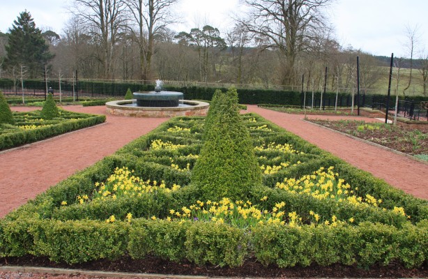 The walled Garden, Dumfries House
Early spring colour at the walled garden in Dumfries House Estate
