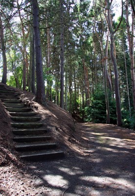 St Andrews Botanic Garden
The woodland walk at St Andrews Botanic garden. [url=http://www.streetmap.co.uk/map.srf?X=350384&Y=716304&A=Y&Z=115/] Map location. [/url]
