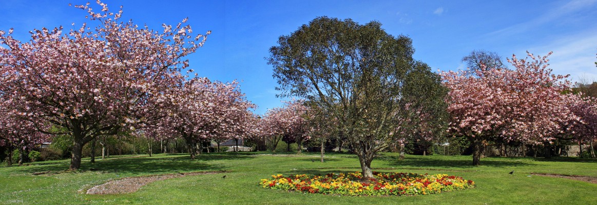 A spring time view of Anderson Park, Largs
[url=http://www.streetmap.co.uk/map.srf?X=220746&Y=658686&A=Y&Z=115/] Map location. [/url]
